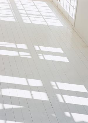 2026年最新版：鳥取市の不動産市場を徹底解説！買い時・売り時のポイントと最新動向